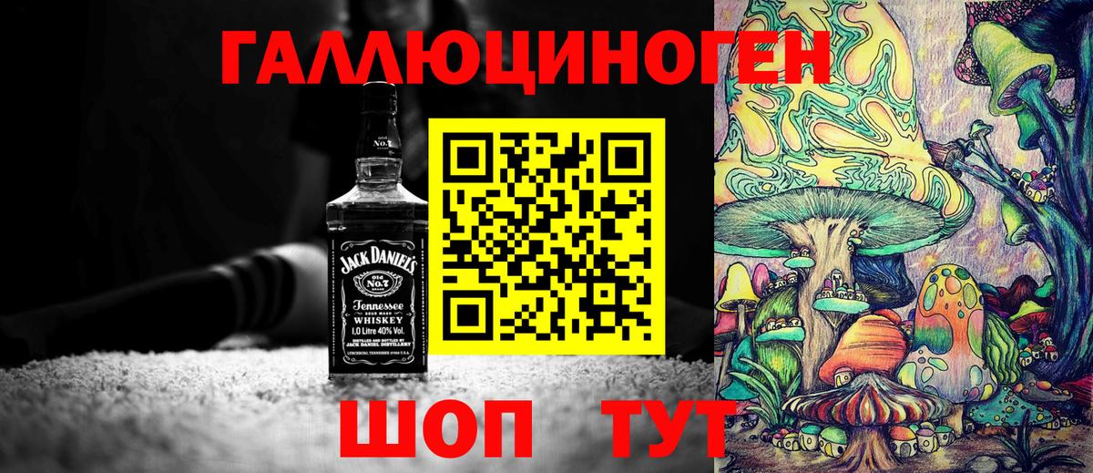 купить наркотик  Псилоцибиновые грибы MAGIC MUSHROOMS  Вход с VPN  Отрадный 