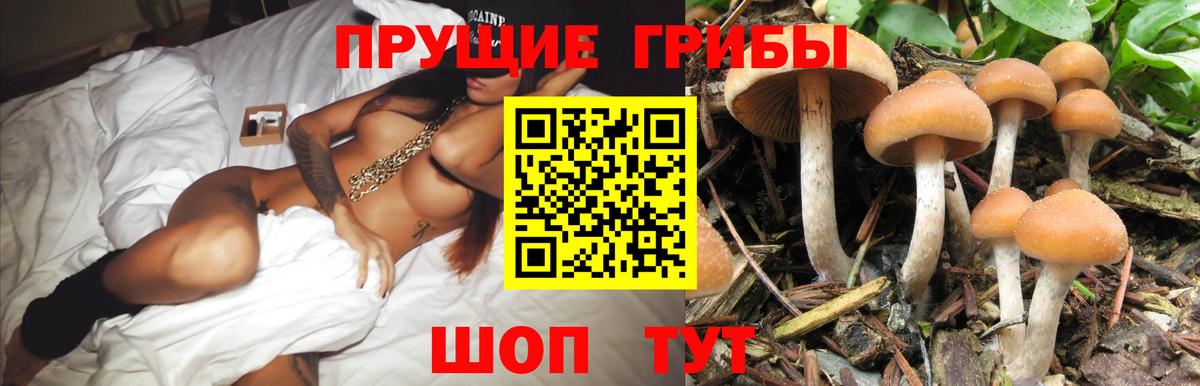 Галлюциногенные грибы GOLDEN TEACHER Отрадный