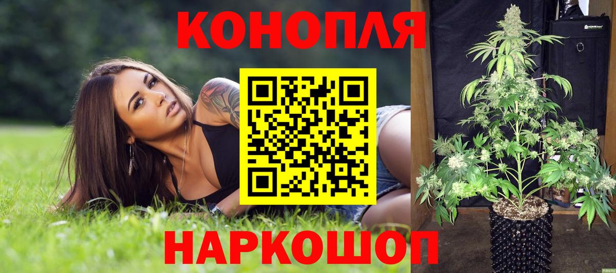 Бошки Шишки конопля  Шишки марихуана тримм  Марихуана VHQ  Отрадный  Марихуана марихуана  Вход с VPN 